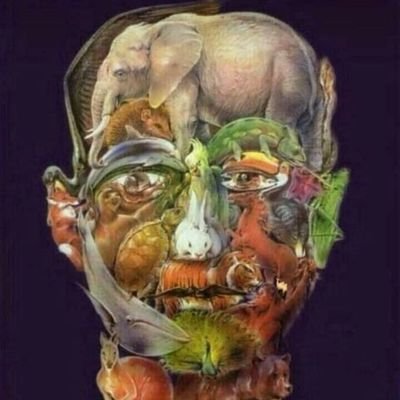 St_Lukasz_J's profile picture. 