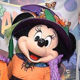 ClareLW1's profile picture. 