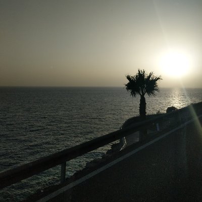 gretasgottaV8's profile picture. Piss off FBPE loonies.
Stop Mass Illegal Invasion Now!!!!!