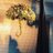 kenshi_pancake