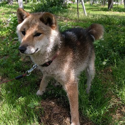 P7fDNsVqvr29jtJ's profile picture. 