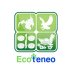 EcoTeneo (@EcoTeneo) Twitter profile photo