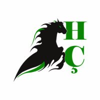 Hışman Çizik (@hismancizik) Twitter profile photo