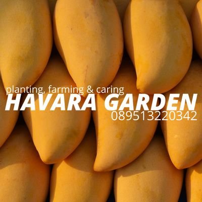 Menanam, berkebun dan merawat tanaman buah-buahan membuat pikiran dan hati bahagia 
(𝙋𝙡𝙖𝙣𝙩𝙞𝙣𝙜, 𝙛𝙖𝙧𝙢𝙞𝙣𝙜 𝙖𝙣𝙙 𝙘𝙖𝙧𝙞𝙣𝙜 𝙛𝙤𝙧 𝙥𝙡𝙖𝙣𝙩𝙨)