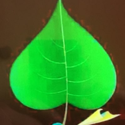 norbu18114270's profile picture. tibat