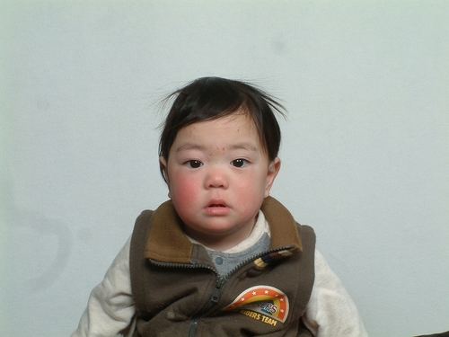 jmtkajon's profile picture. 日本がおかしくなる事を憂いています。家庭連合解散は偏向報道による宗教迫害です。