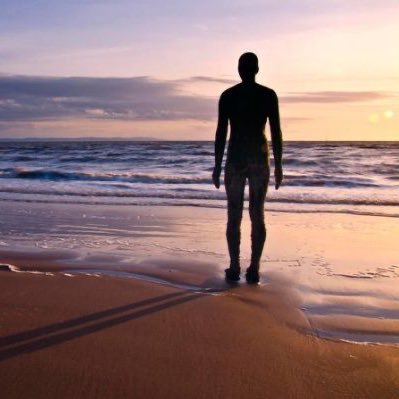 bertiedog64's profile picture. 