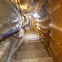 Tal beeri (@talbeeri72) 's Twitter Profile