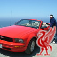 SRT(@Basalt2003) 's Twitter Profile Photo SRT(@Basalt2003) 's Twitter Profile Photo