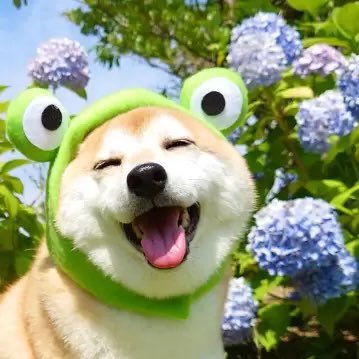 TTDRWN8LnU4arie's profile picture. 