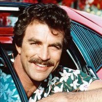 TampaFLPolitico's profile picture. 