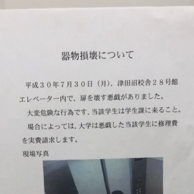 momiさんのプロフィール画像