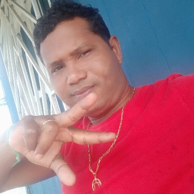funcionário público na prefeitura municipal de curralinho Marajó Brasil.Torcedor apaixonado do Palmeiras e do Remo.