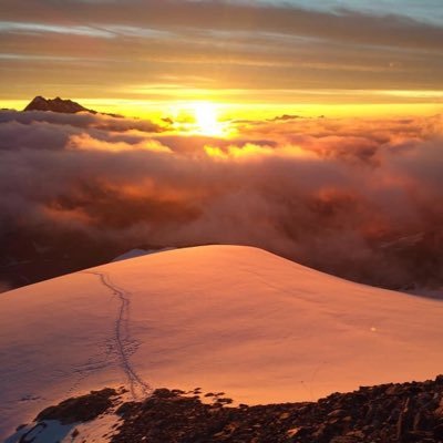 yorick01's profile picture. Legendary Head of the Snorkel Karaoke Society @ Vacation Inc