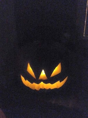 fledermouth's profile picture. Let's Go Darwin!