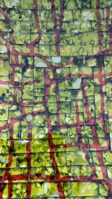 DahaouiFada's profile picture. Livressence