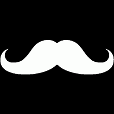 Moostached's profile picture. Former Democrat, Independent now. Common sense, where is it in USA? Americans are Dreamers, too. Father, husband. Any RT not endorsement. #patriot #walkaway