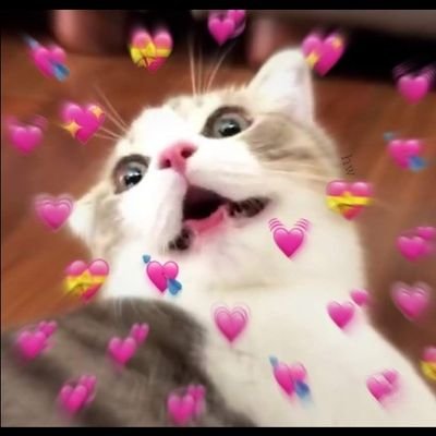 SahSilv47633649's profile picture. ~Aceite-se 🌺