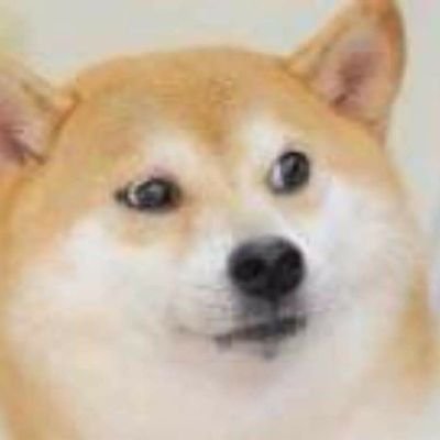 Necris121's profile picture. सुखदु:खे समे कृत्वा लाभालाभौ जयाजयौ |
ततो युद्धाय युज्यस्व नैवं पापमवाप्स्यसि (Gita 2:38)
or could you afford not to?