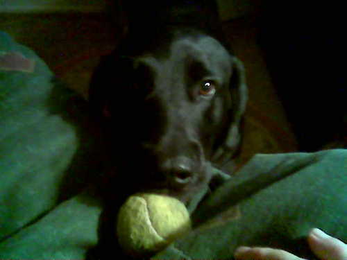 Gr8fulBeau's profile picture. Stepping into each day asking why or why not? A journey on being openminded, willing and seeking honesty. Staying in the moment.