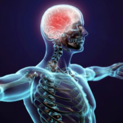 We are a chiropractic wellness center that believes in treating the whole patient starting with the cause of your condition and not just your symptoms.