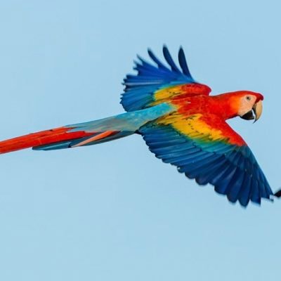 Sharing my investment journey. Author of the Stock Squawk newsletter and host of Stock Squawk on @TwitterSpaces.
https://t.co/rGmB9x3d9y