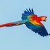 Parrot 🦜 (@parrotstock) Twitter profile photo Parrot 🦜 (@parrotstock) Twitter profile photo