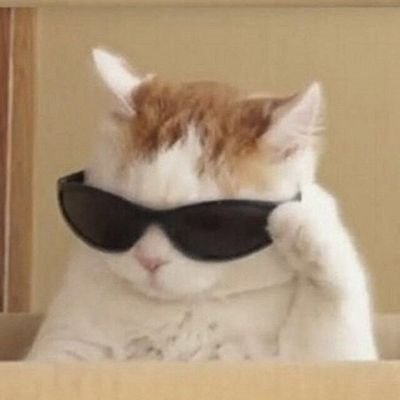 paumarioo's profile picture. the office, season 5, episode 20, minute 20:49.