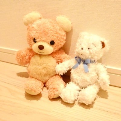 shiki0906's profile picture. マイペースな気分屋です。息子息子言ってるけど育児アカウントじゃないので雑多につぶやくよ。夫（しょうへい）、息子（ちびへい 2017/2/6）の三人家族。B'z/稲葉浩志/LIVE/旅/写真/京都/美味しいもの/ラーメン/お酒/可愛いもの/サンフレッチェ広島/BクラFGO部/SixTONES💙