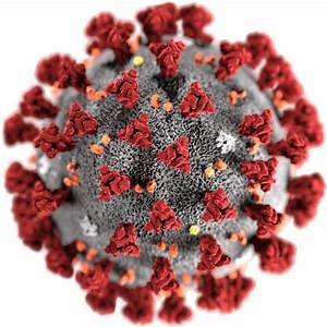 This account is dedicated to find tests and vaccines to control, diagnose, and treat COVID-19. The objective is to spread the word about the best alternatives.