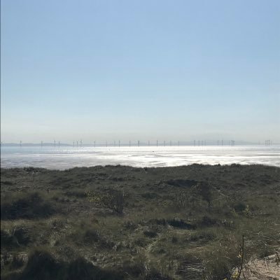 d_dfb's profile picture. Solicitor and lecturer at University of Liverpool Law Clinic. Runs a student SEN free legal advice clinic for parents/carers in Merseyside. views my own.