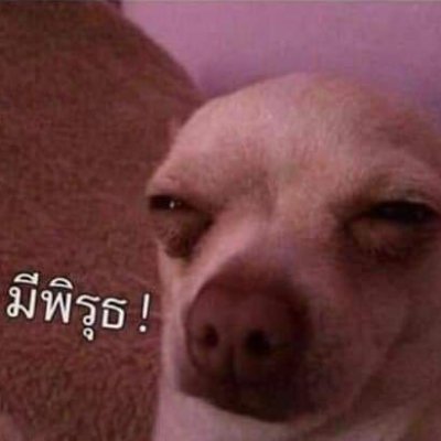 ppmemijimai's profile picture. อ๋อๆจ้าๆ