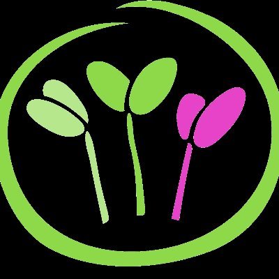 Microgreens Canarias es un proyecto de producción de microgreens orgánicos en Tenerife, basado en ofrecer una amplia variedad de delicios microvegetales!