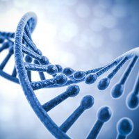 Applied Bioinformatics Laboratory (ABiL) (@appliedbinf) 's Twitter Profile