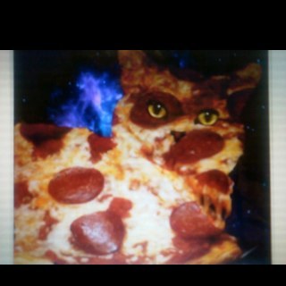 Pepurronikitty's profile picture. all i do is float in space like a cat pizza should. i love my friends from canada and watch over them constantly