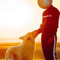 Dominique Rouillon (@dominiquerouil1) 's Twitter Profile