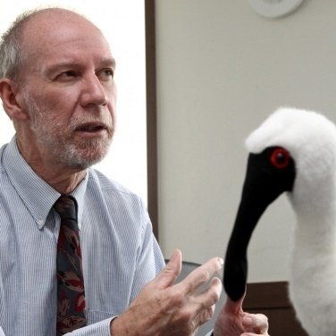 FlywaySpike's profile picture. 