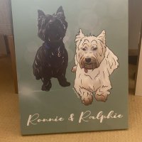 Ralphie and Ronnie(@r_rwestiebears) 's Twitter Profile Photo