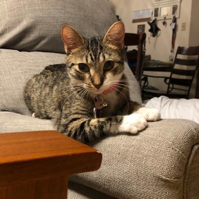 KyleRaney7's profile picture. 