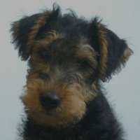 William Taylor (@sg_uk1998) 's Twitter Profile