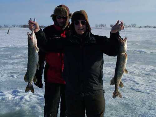 m52miller's profile picture. 