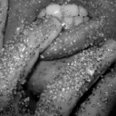 Stefanie Ott - @BeDelicious1403 - Twitter