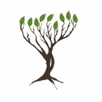 ACIFA (@acifaca) 's Twitter Profile