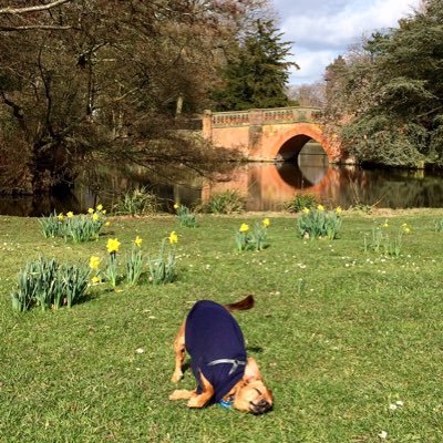@B13Newshound