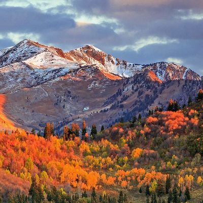 olongho's profile picture. ülkesini ve insanlarını seven, kuralları önemseyen, eleştirel bakış açısına sahip düz insan...