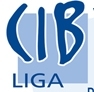 The CIB-Liga is a patient association that focuses on chronic inflammatory diseases: Lupus, MCTD, Scleroderma, Vasculitis, Sjögren's & 
Poly-/Dermatomyositis.