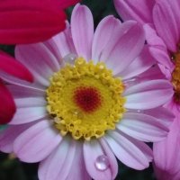 get1001tips (@get1001tips) 's Twitter Profile