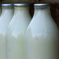 Summit Station Dairy & Creamery (@summitstation) 's Twitter Profile