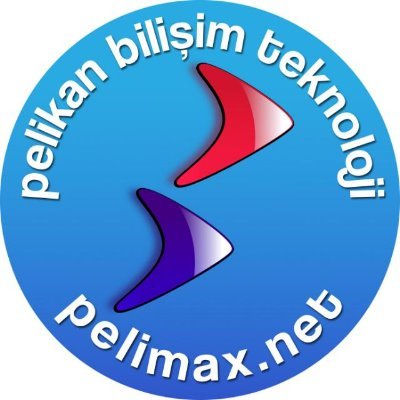 pelikan bilişim teknoloji firması