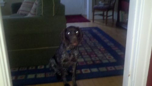 robmain1's profile picture. golf, sports fan